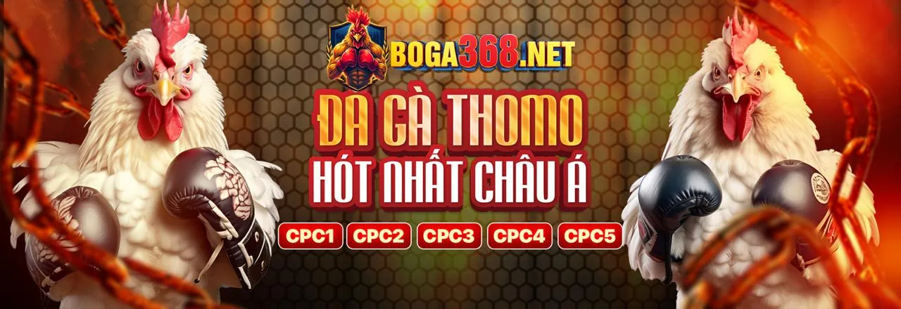 Đồ họa sống động