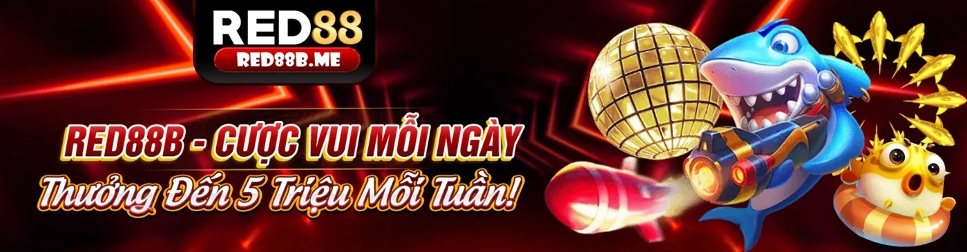 Hình ảnh đại diện Điều khoản và Điều kiện của ok88 chính thức